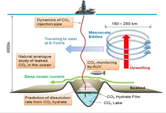 Figure 1.2: Diagram of the ocean sequestration research at I2CNER