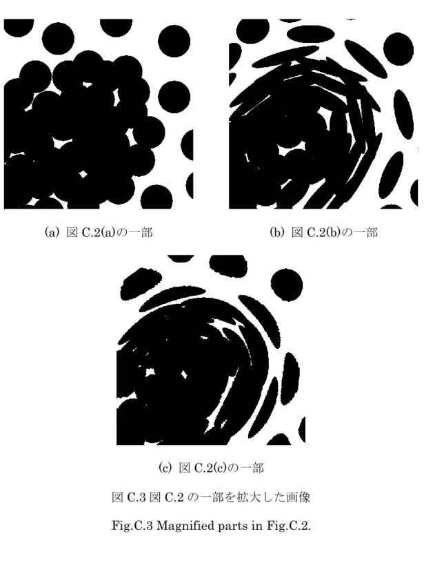 図 C.3 図 C.2 の一部を拡大した画像  Fig.C.3 Magnified parts in Fig.C.2. 