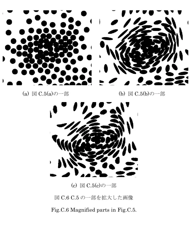 図 C.6 C.5 の一部を拡大した画像 