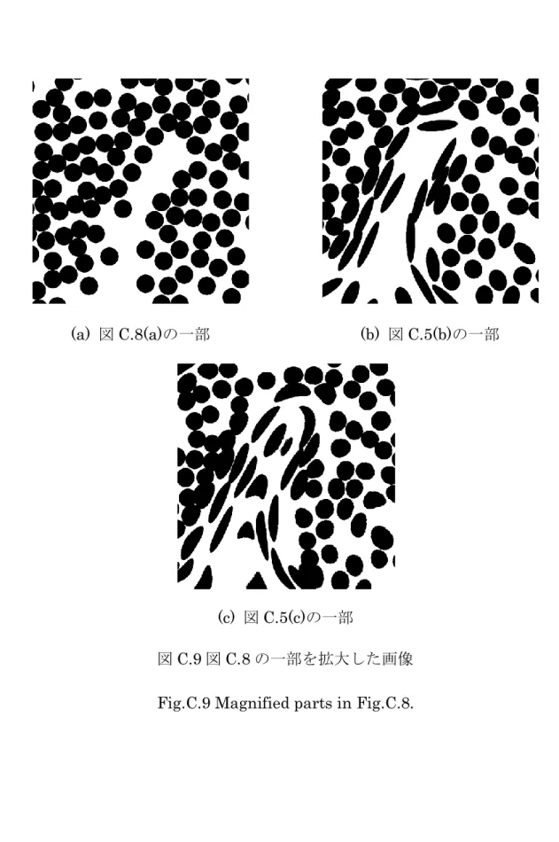 図 C.9 図 C.8 の一部を拡大した画像  Fig.C.9 Magnified parts in Fig.C.8. 