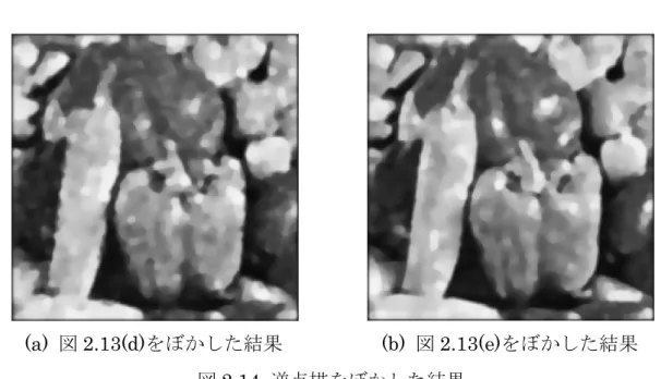 図 2.14  逆点描をぼかした結果 