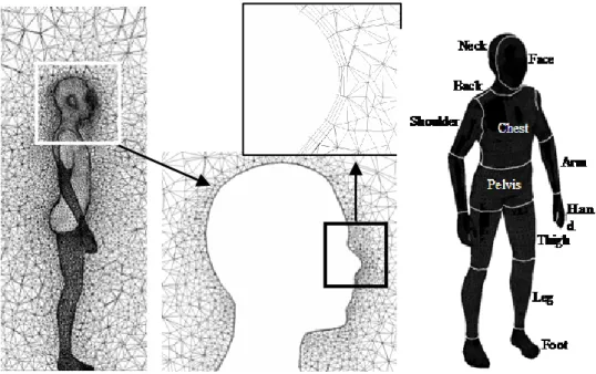 Figure 4-2. Grid design and segments of the human body    4.1.2  R ADIATION HEAT FLUX ANALYSIS 