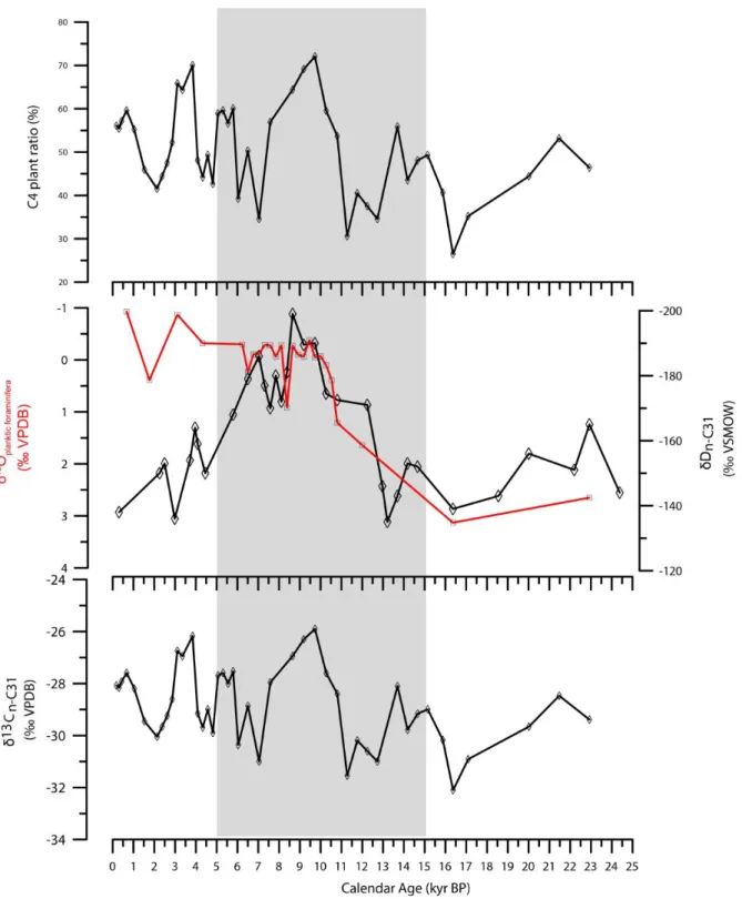 Figure 2. 5: Downcore profiles versus calendar age (kyr) of compound specific isotopes of: A)  Percent pf C4 annual grasses, B) δ 18 O (‰ VPDB) (Emeiset al., 1998), C) Hydrogen (δD)(‰ 