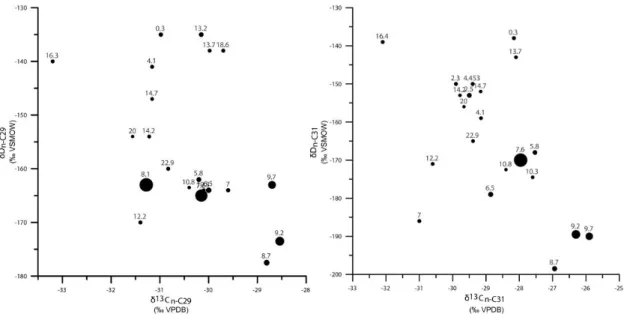 Figure  2.  6: Relationship  between  δ 13 C (‰ VPDB)  and δD  (‰ VSMOW) of individual n- n-alkanes  n-C 29  and  n-C 31  since  the  past  23  ka