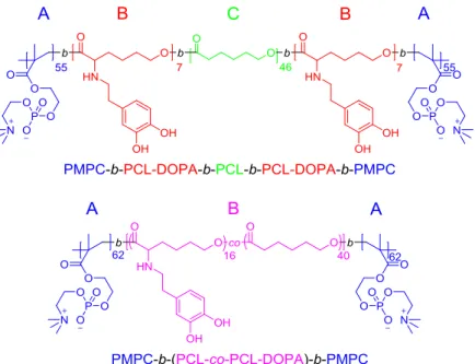 Figure 2.1. Design of two kinds of dual-functionalized block copolymer 
