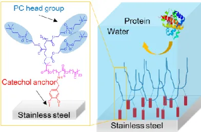 Figure 3.1. Formation of PCL-b-(PCL-DOPA-b-PMPC) 2  thin film on SUS surface, reducing the fouling properties  on the SUS substrate in water