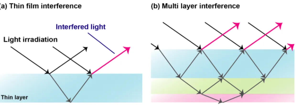 Figure  1-14  Production  of  structural  color  by  film  materials.  Schematic  illustration  of  (a)  thin  film  interference and (b) multi layer interference