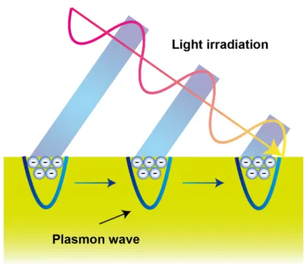 Fig. 1-20 SPR generated by irradiation of light onto a metal surface. 142