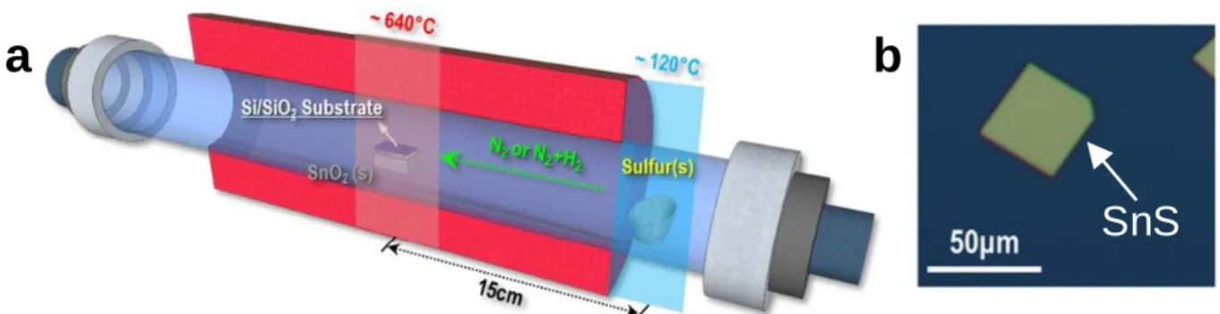 Figure 2-7. a) Schematic view of CVD setup for SnS growth and (b) optical image SnS grain on SiO 2  substrate