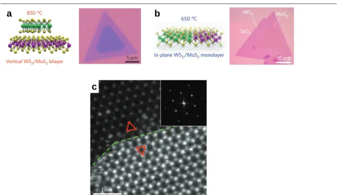 Figure 2-8. Schematic views and optical micrograph images of (a) lateral and (b) in-plane of MoS 2  and WS 2