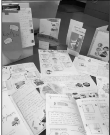 Figure C. Pamphlet Project 