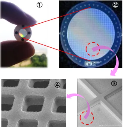 Fig. 2-1 Pictures of the MMD sample used in this study. 