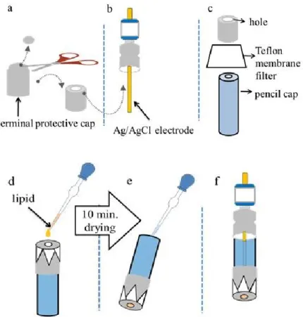 Figure 2.6: The fabrication procedure of taste sensor used in science class [51].