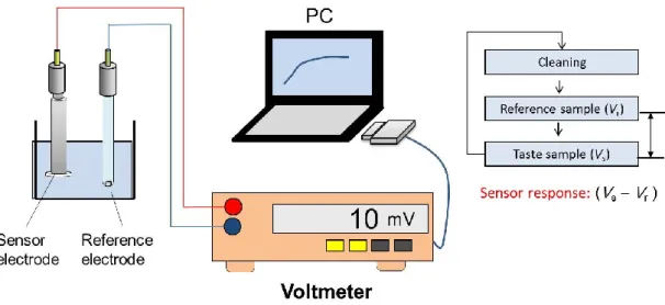 Figure 2.8: Schematic of measurement system at developing stage. 