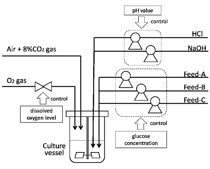 Figure 3.1. Overview of the culture system. O 2  gas valve was controlled by dissolved oxygen  level