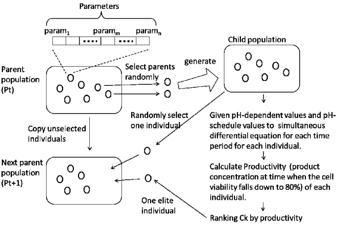 Figure 3.3. Overview of the parameter estimation algorithm.   