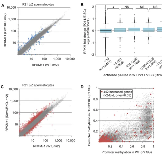 Fig 5. RefSeq gene expression profiles in Pld6 KO and Dnmt3l KO spermatocytes. (A) Expression of protein-coding and noncoding genes (n = 22,771, excluding miRNAs, small nucleolar RNAs, and rRNAs) in Pld6 KO and WT spermatocytes