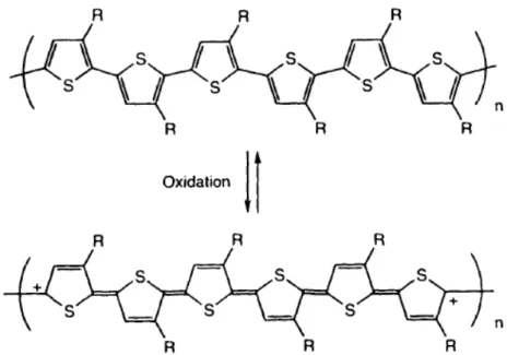 Figure 1-3. Neutral and oxidized forms of polythiophene (R = H or alkyl). [15] 