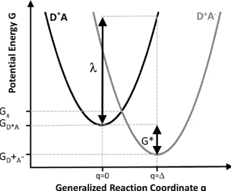 Figure 1-8. Potential energy surfaces of the initial (D*A) and the charge transferred (D + A - )  state approximated by parabolas
