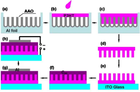 Figure 2-1 Polymer solar cell fabrication process. (a) AAO template. (b, c) Spin coating of  P3HT solution and infiltration into pores