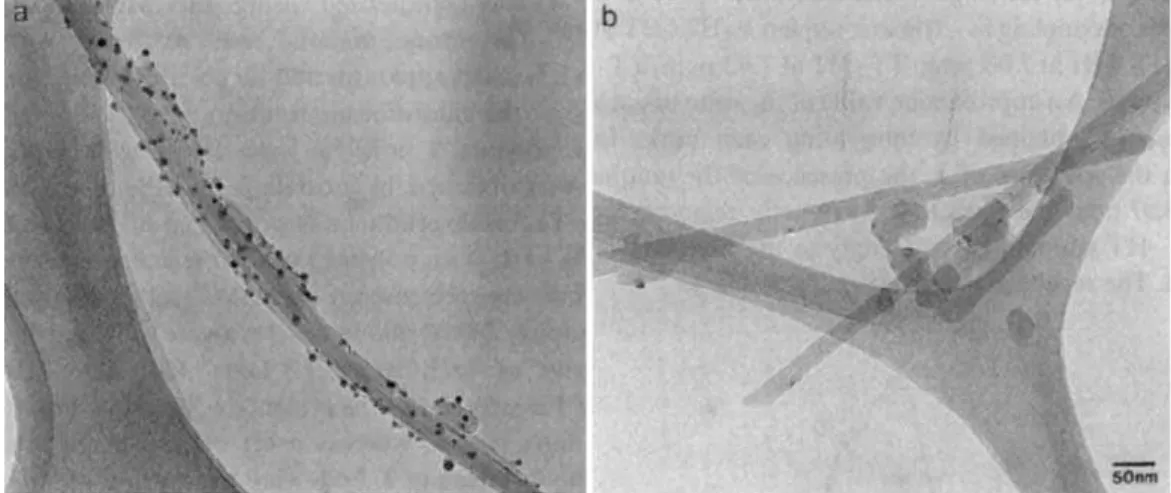 Fig. 1.7 The deposition of Ag metal particles on oxidized-CNT (a) and  pristine CNT (b) [56]