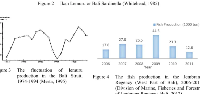 Figure 2  Ikan Lemuru or Bali Sardinella (Whitehead, 1985) 