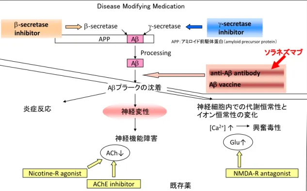 図 1.  AD の既存薬と Disease modifying medication 
