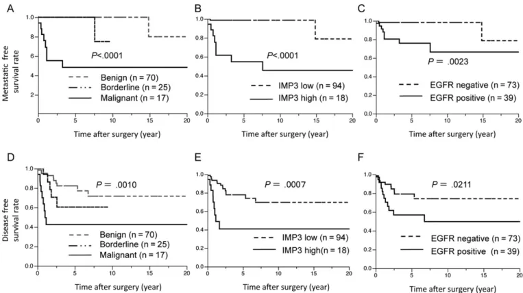 Fig. 3 Kaplan-Meier analyses for metastasis-free survival (A-C) and disease-free survival (D-F) by histological grade, IMP3 expression and EGFR expression