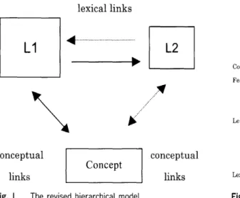 Fig. I The revised hierarchical model Fig. 2 The distributed lexical/conceptual feature model