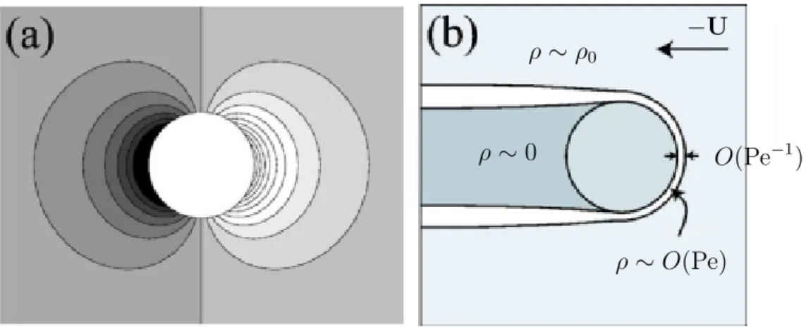 Figure 2.2: Low- and high-Pe density fields. These figures are from Squires and Brady [7].