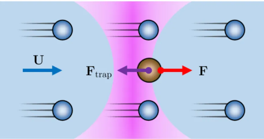 Figure 2.5: Schema of experimental system studied by Wilson et al. A probe particle is trapped by optical tweezers in a flowing colloidal suspension