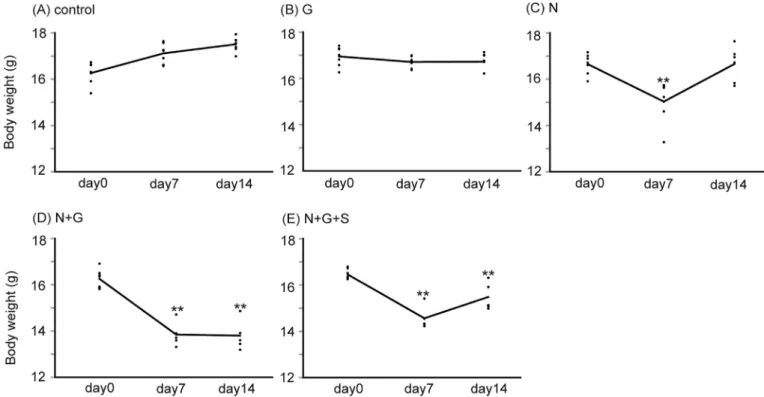 Fig. 2. Changes in mice body weight over time. Body weights of mice treated with naphthalene alone were signiﬁcantly decreased on day 7; however, by day 14, the body weights returned to the level of the control