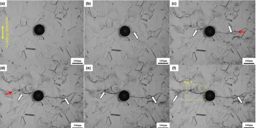 Fig. 2.3 In situ images of the Fe-30Mn-6Al alloy at various points during the fatigue test: (a) undeformed, (b) 6.0 × 10 3 , (c) 1.9 × 10 4 , (d) 2.3 