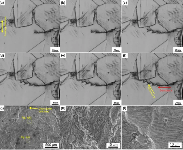 Fig.  2.4  (a-f)  In  situ  images  of  the  Fe-30Mn-6Al  alloy  at  various  points  during  the  fatigue test: (a) 1.9 × 10 4 , (b) 2.1 × 10 4 , (c) 2.3 × 10 4 , (d) 2.5 × 10 4 , (e) 2.7 × 10 4 , and  (f)  2.9  ×  10 4   cycles