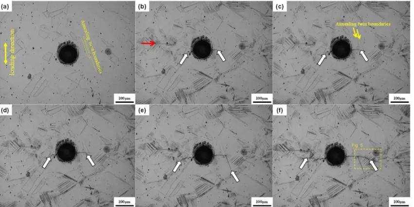 Fig. 2.5 In situ images of the Fe-30Mn-4Si-2Al alloy at various points during the fatigue test: (a) undeformed, (b) 1.9 × 10 4 , (c) 2.1 × 10 4 , (d)  2.5 × 10 4 , (e) 3.3 × 10 4 , and (f) 4.3 × 10 4  cycles