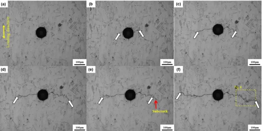 Fig. 2.7 In situ images of the Fe-30Mn-6Si alloy at various points during the fatigue test: (a) undeformed, (b) 1.3 × 10 4 , (c) 2.5 × 10 4 , (d) 2.9 ×  10 4 , (e) 3.1 × 10 4 , and (f) 3.7 × 10 4  cycles