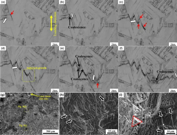 Fig.  2.8  (a-f)  In  situ  images  of  the  Fe-30Mn-6Si  alloy  at  various  points  during  the  fatigue test: (a) 2.5 × 10 4  cycles, (b) 2.7 × 10 4  cycles, (c) 2.9 × 10 4  cycles, (d) 3.1 ×  10 4  cycles, (e) 3.3 × 10 4  cycles, and (f) 3.5 × 10 4  cy
