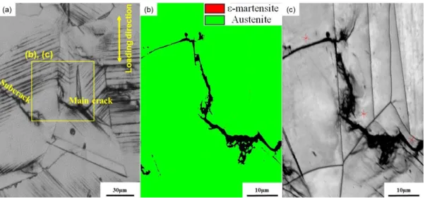 Fig. 2.9 (a) Optical microscope image of the Fe-30Mn-6Al alloy after the fatigue test  (4.5  ×  10 4  cycles)