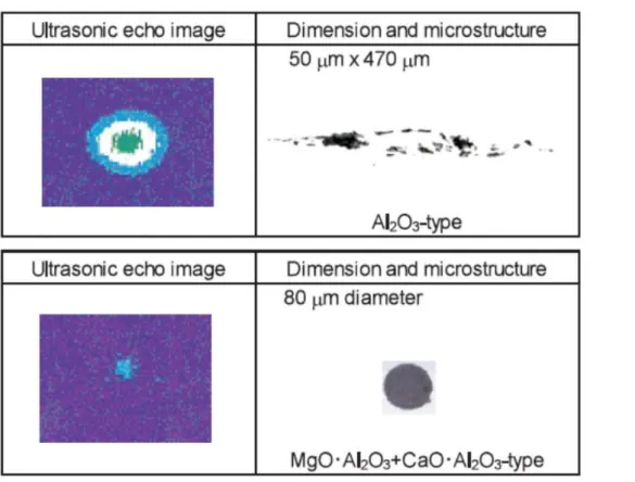 Fig. 1.9    Examples of inclusions detected by 15MHz ultrasonic tests. Sato et al. (54)