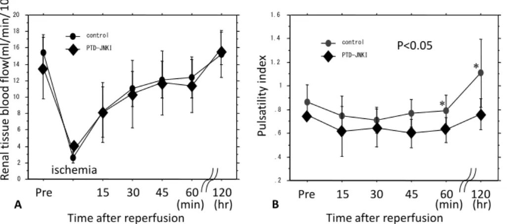 Figure 3. Renal blood flow. A. Renal tissue blood flow (RTBF) measured with a Doppler 