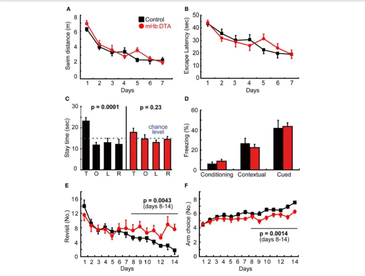 FIGURE 5 | Learning and memory in mHb:DTA mice. (A–C) Spatial learning and memory in the Morris water maze (mice were 7–8 months-old, n = 12/group)