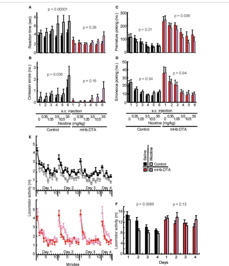 FIGURE 7 | Lack of susceptibility to nicotine in mHb:DTA mice on 5-CSRTT performance and adaptation to a new environment