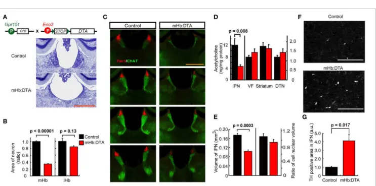 FIGURE 1 | Continued