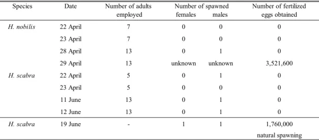 Table 1. Induction of gamete spawning of Holothuria nobilis  and H. scabra,  by increasing water temperature