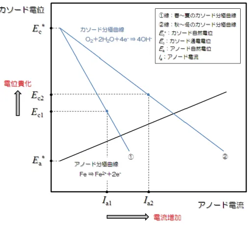図 -3.2.8  カ ソ ー ド 分 極 曲 線 の 季 節 変 化  