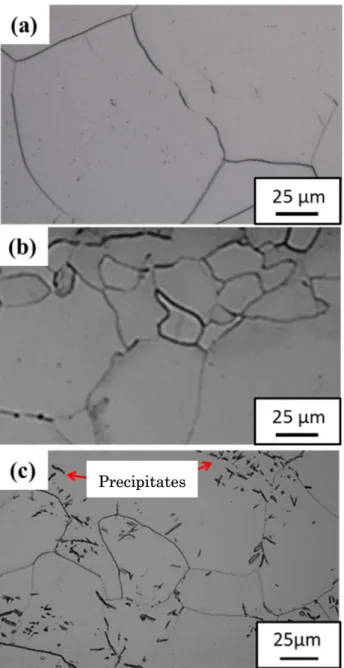 Fig. 2-2 Optical microscopic images of electrolytic iron (a) 