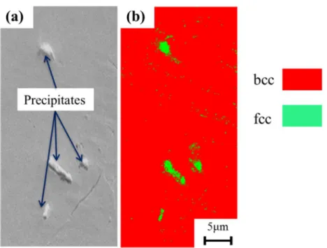 Fig. 2-4 EBSD analysis results of Fe-0.02mass%N alloys aging treated  specimen:(a) SE image, (b) Phase map of bcc and fcc
