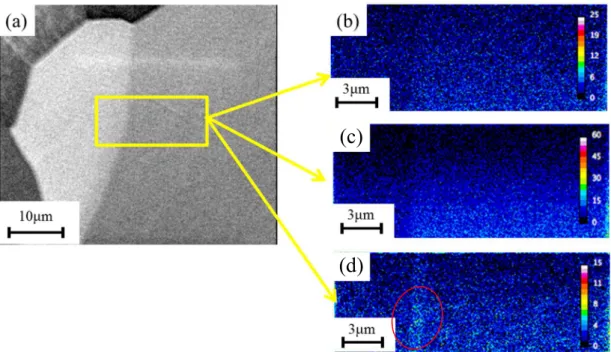 Fig. 2-7 (a)SE image, (b)Fe -  mapping, (c)C -  mapping and (d)CN -  mapping  results obtained SIMS analysis for aging treated Fe-0.02mass%N alloy