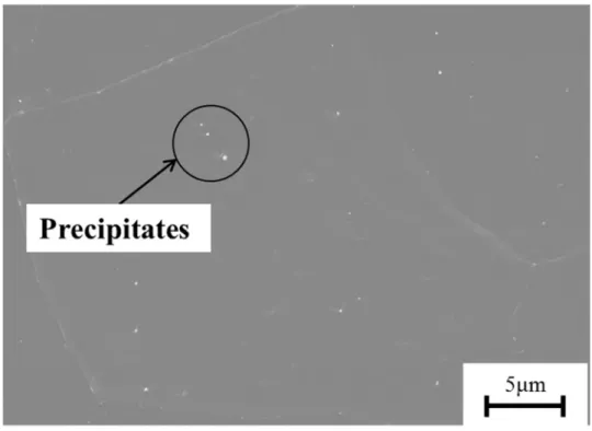 Fig. 3-5 SE image of precipitates by extracted replica for IF steel. 