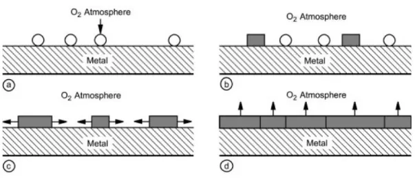 Figure 2.13 Schematic illustrations of 4 steps for oxide formation: a) oxygen adsorption,  b) oxide nucleation, c) oxide lateral growth, and d) compact oxide formation [2]
